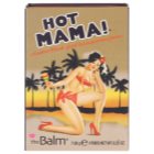 theBalm Hot Mama! colorete y sombra de ojos en un solo producto