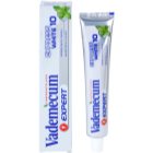 Vademecum Expert Express White 10 pasta do zębów o działaniu wybielającym