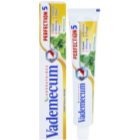 Vademecum Perfection 5 pasta za izbjeljivanje za potpunu zaštitu zuba