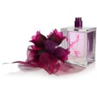 Vera Wang Lovestruck Eau de Parfum für Damen 100 ml