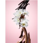 Viktor & Rolf Flowerbomb parfémovaná voda pro ženy 100 ml