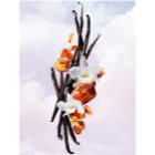Viktor & Rolf Flowerbomb Bloom woda toaletowa dla kobiet 100 ml