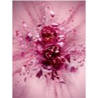 Viktor & Rolf Flowerbomb Nectar parfémovaná voda pro ženy 90 ml