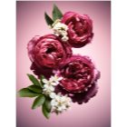 Viktor & Rolf Flowerbomb Nectar parfémovaná voda pro ženy 90 ml