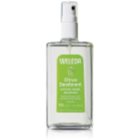 Weleda Citrus dezodor