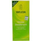 Weleda Citrus deodorant náhradní náplň