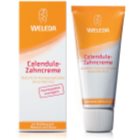 Weleda Dental Care Toothpaste
