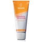 Weleda Dental Care Toothpaste