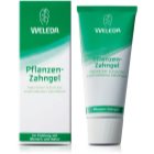 Weleda Dental Care Pflanzliches Zahngel