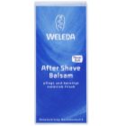 Weleda Men borotválkozás utáni balzsam