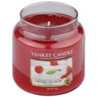 Yankee Candle Cherries on Snow Scented Candle 411 g Classic Medium