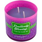 Yankee Candle Lavender Vanilla świeczka zapachowa 283 g
