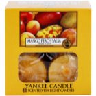 Yankee Candle Mango Peach Salsa bougie chauffe-plat 12 x 9,8 g