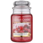 Yankee Candle Cranberry Ice Scented Candle 623 g Classic Large