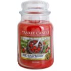 Yankee Candle Red Raspberry Geurkaars 623 gr Classic Large