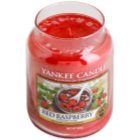 Yankee Candle Red Raspberry Geurkaars 623 gr Classic Large