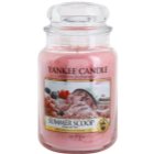 Yankee Candle Summer Scoop lumanari parfumate 623 g Clasic mare