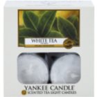 Yankee Candle White Tea čajová sviečka 12 x 9,8 g