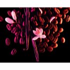 Yves Saint Laurent Black Opium Parfumovaná voda pre ženy 90 ml