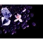 Yves Saint Laurent Black Opium Nuit Blanche Eau de Parfum für Damen 90 ml
