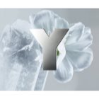 Yves Saint Laurent Y eau de toilette pour homme 60 ml