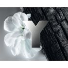 Yves Saint Laurent Y eau de toilette pour homme 60 ml