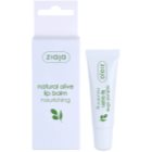 Ziaja Natural Olive nährender Lippenbalsam mit Auszügen aus Oliven