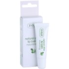 Ziaja Natural Olive nährender Lippenbalsam mit Auszügen aus Oliven