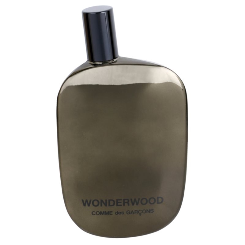 Comme Des Garcons Wonderwood, Eau de Parfum for Men 100 ml | notino.co.uk