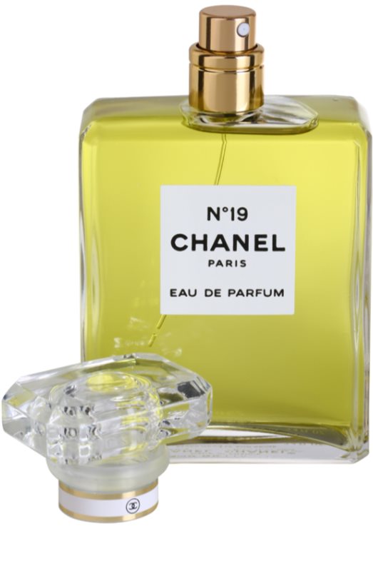 Chanel N°19, parfémovaná voda pro ženy 100 ml | notino.cz