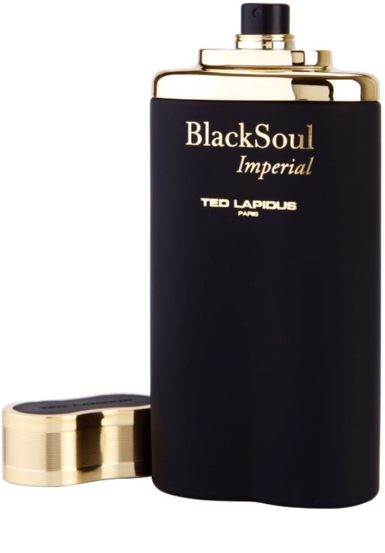 Parfum Ted Lapidus Black Soul Eau De Toilette Pour Homme - Flacon 100 Ml - Neuf Original