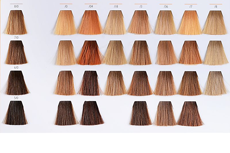 Wella Professionals Color Touch 4/73 Medium Brown/Brown Gold - wide 1